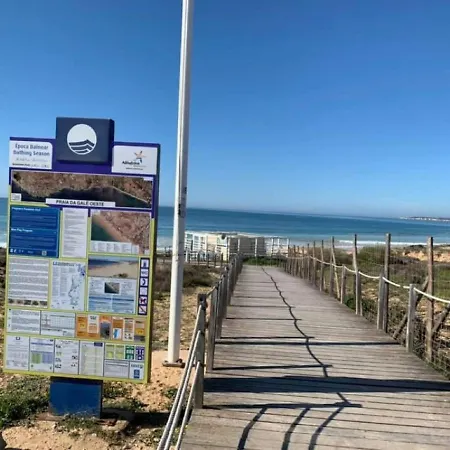 Salgados And Relax *