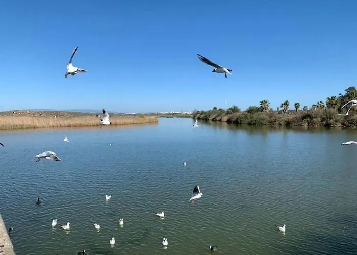 Salgados And Relax Διαμέρισμα Guia (Faro)