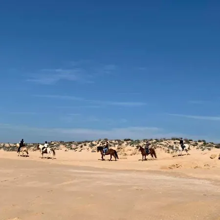 Apartment Salgados And Relax Guia (Faro)