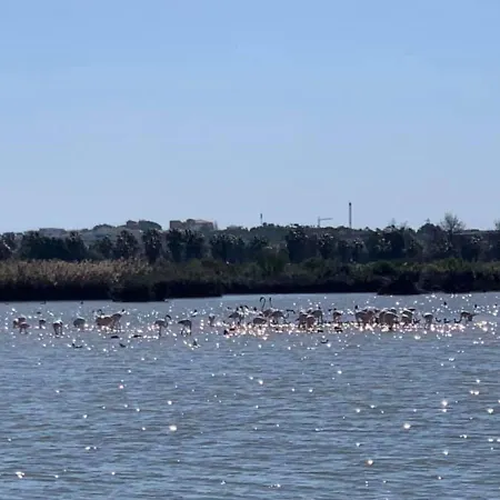 Apartment Salgados And Relax