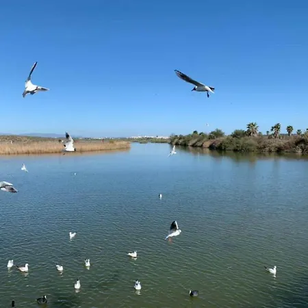 Salgados And Relax Apartment Guia (Faro)