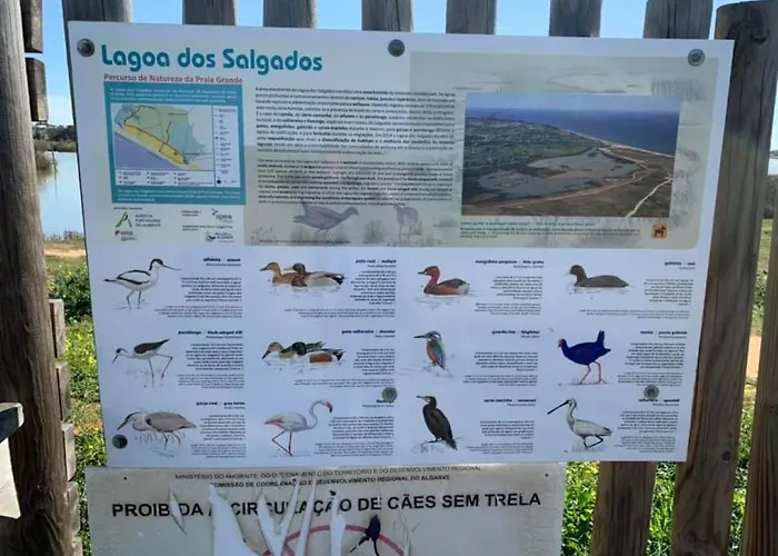 Salgados And Relax Daire Guia (Faro)