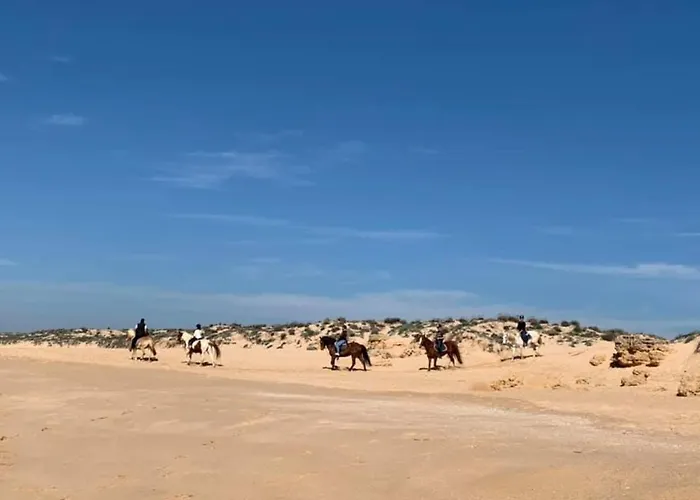 Daire Salgados And Relax Guia (Faro)