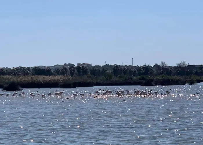 公寓 Salgados And Relax